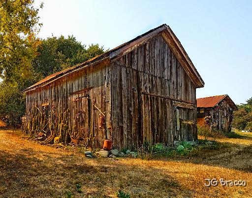 2017-09-03-15-o-r1.tif - Bloomfield