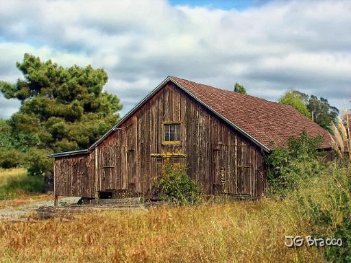 DSC02834.tif - Penngrove