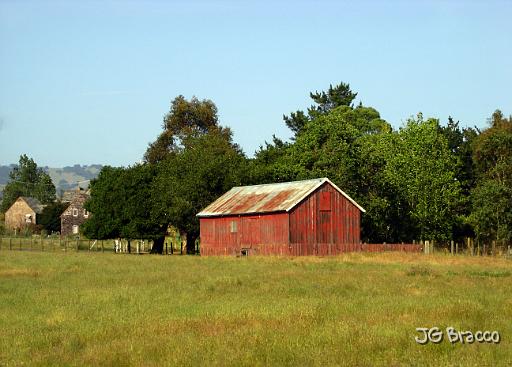 DSC02905.tif - Petaluma