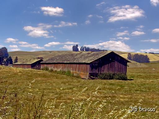 DSC03008-v2.tif - Chicken Barn, Petaluma