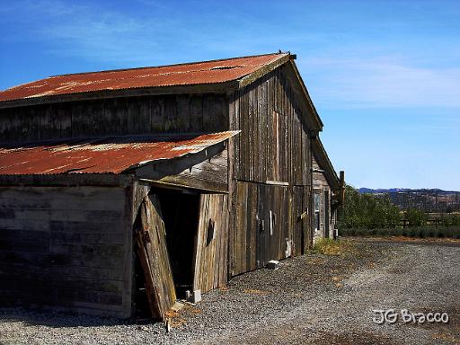 DSC03379.tif - Petaluma