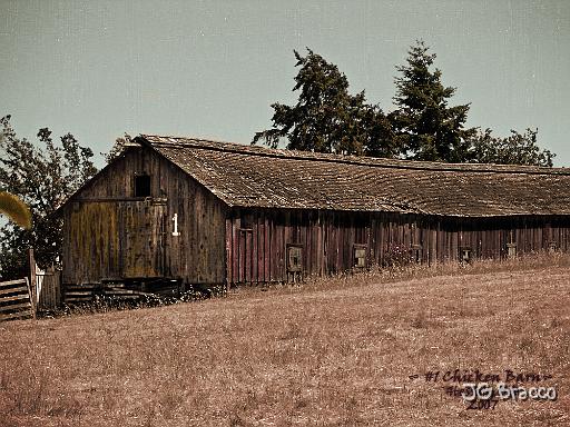 DSC03487.tif - Ole #1 Chicken Barn, Hessel