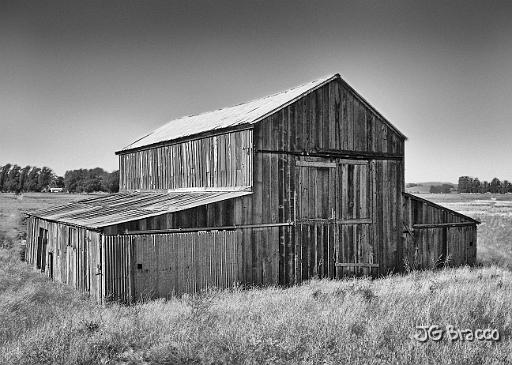 DSC03596-c1.tif - Petaluma