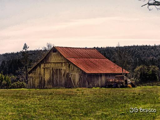 DSC06227.tif - Cloverdale