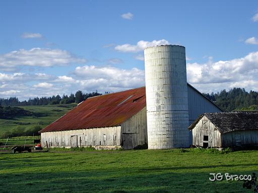 DSC06319.tif - Silo Barn, Freestone (Spring)