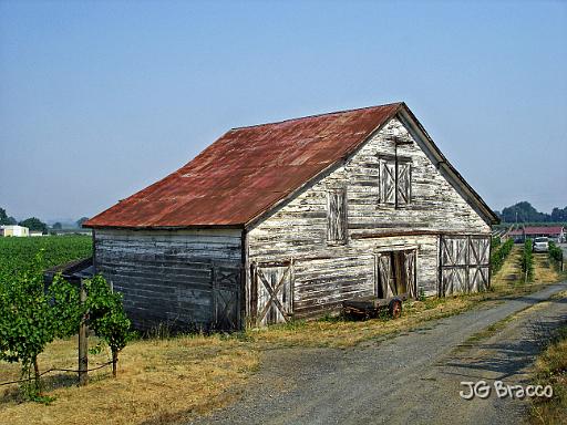 DSC06835.tif - White Barn, Dry Creek Valley