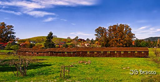 DSC09496-9-o.tif - Hen House Hill, Cotati - This barn has fallen