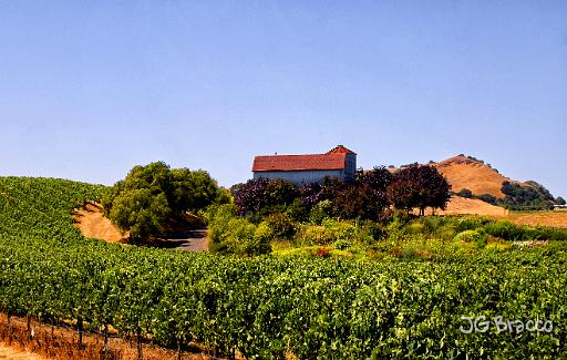 DSC10624-7-o.tif - Vineyard Barn, Sonoma