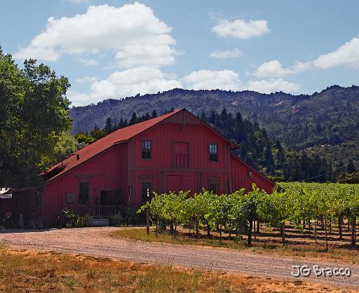 DSC10934-6-o-v2.tif - Bluestocking Barn, St Helena (Napa)