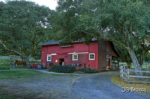 DSC12204-6-o.tif - Point Reyes Stables (Marin)