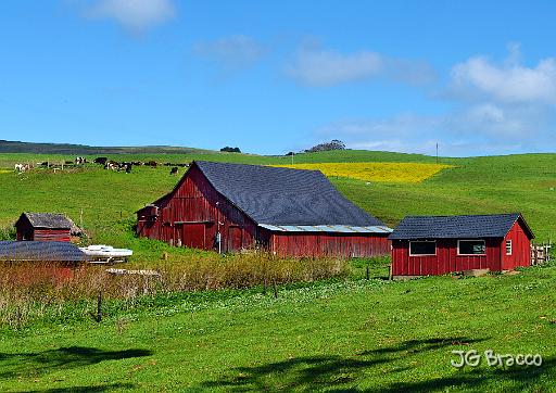 DSC21617-21-o.tif - Marshall (Marin)