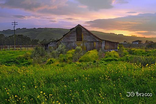 DSC23312.tif - Sonoma