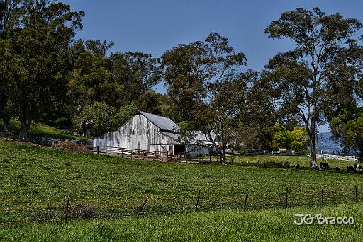 DSC26246.tif - Carneros (Napa)