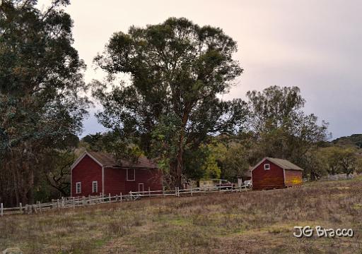 DSC28085.JPG - Scott Ranch