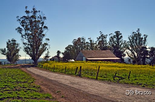 DSC28796.tif - Sonoma Mountain Barn #2