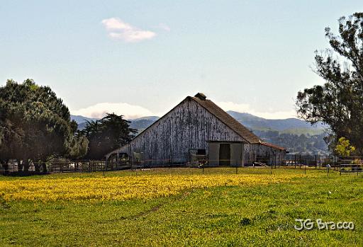 DSC28817.tif - Sonoma Mountain Barn #1