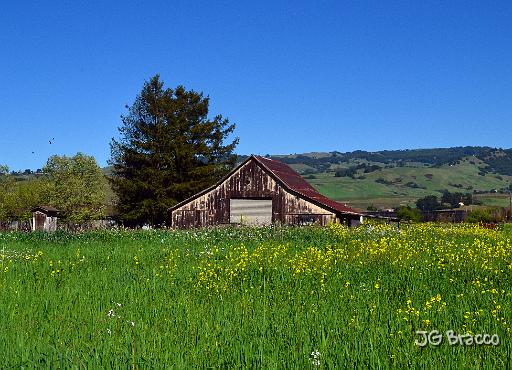 DSC28831.tif - Santa Rosa