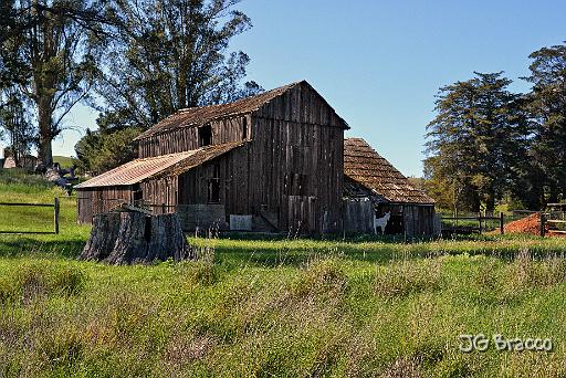 DSC28845.tif - Santa Rosa