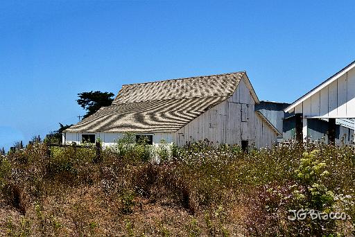 DSC29502.tif - D Ranch Point Reyes