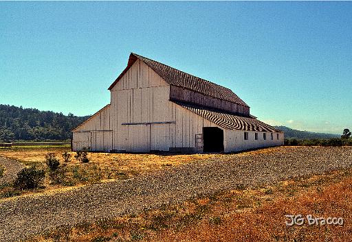 DSC29679.tif - Giacomini Ranch, Point Reyes Station