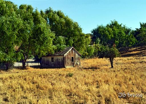 DSC30018.tif - Shack, Petaluma