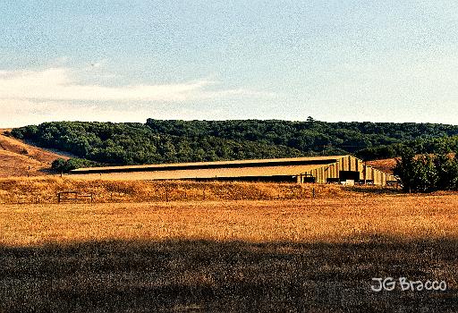 DSC30148.tif - Two Rock Dairy