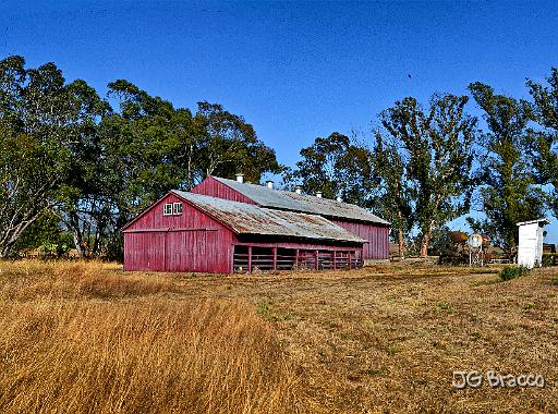 DSC30533-7-o.tif - Penngrove