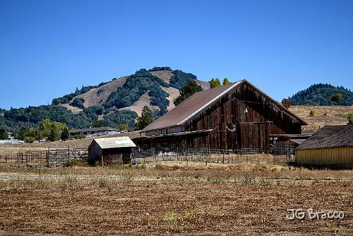 DSC33442.tif - Santa Rosa