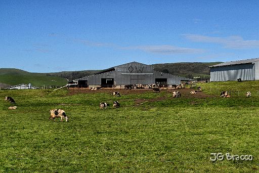 DSC35313.tif - Diamond W Ranch, Two Rock Area