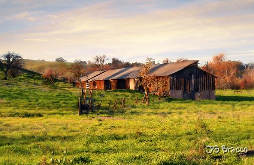 DSCN0027.tif - Petaluma