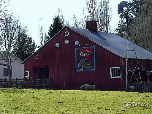 ESC06141.tif - Coke Barn, Petaluma