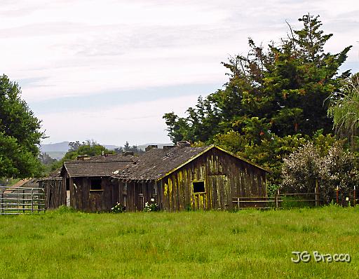 DSC02774.JPG - Petaluma