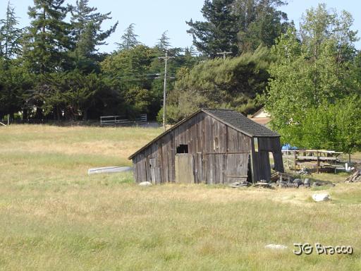 DSC02888.JPG - Petaluma