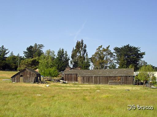 DSC02889.JPG - Petaluma