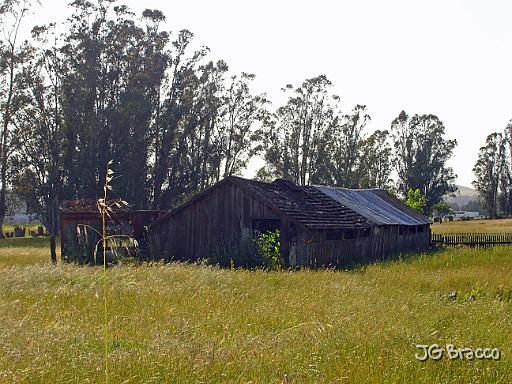 DSC02915.JPG - Petaluma