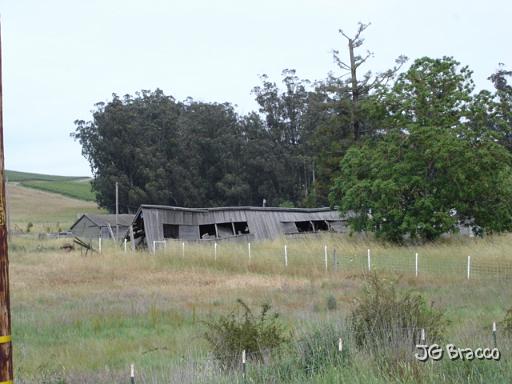 DSC02945.JPG - West Petaluma