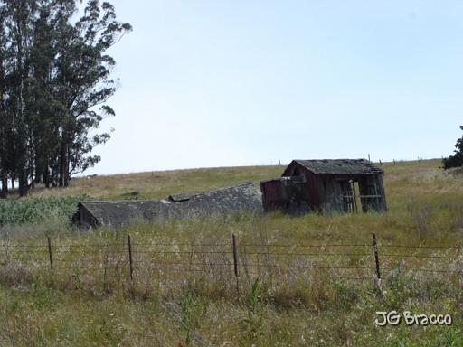 DSC02966.JPG - West Petaluma