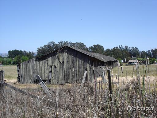 DSC02977.JPG - West Petaluma