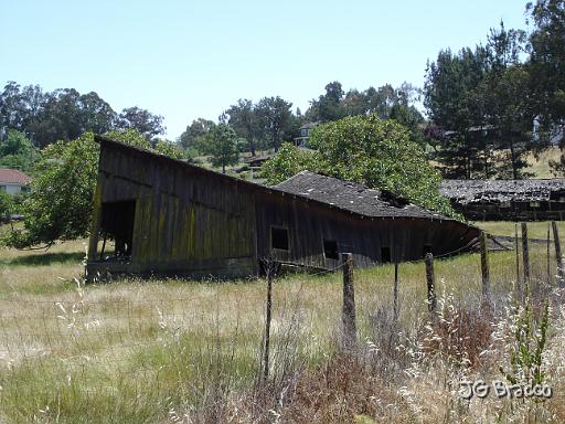 DSC02981.JPG - West Petaluma