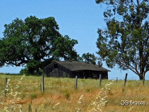 DSC02985.tif - West Petaluma