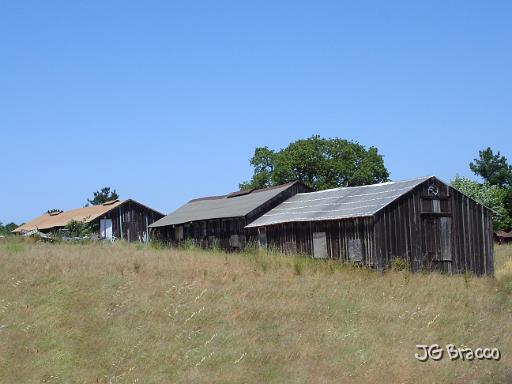 DSC02986.JPG - Petaluma