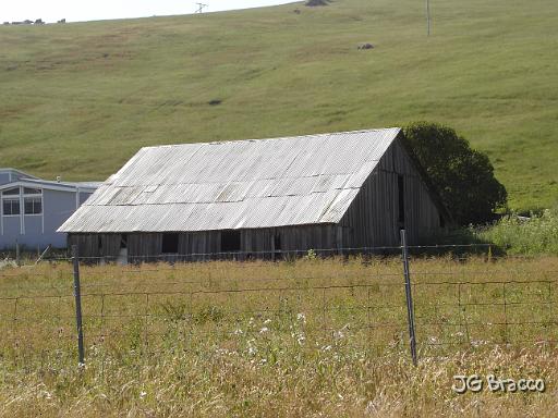 DSC03084.JPG - West Sonoma County, near Bodega