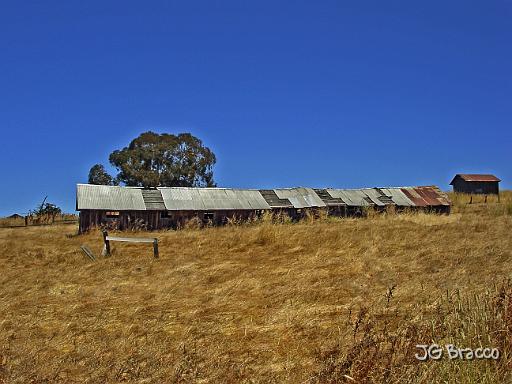 DSC03268.tif - Near Forestville