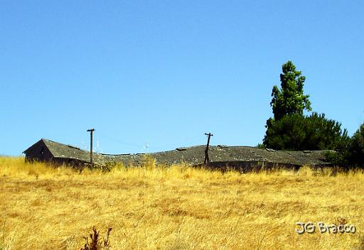 DSC03270-c1.tif - Petaluma