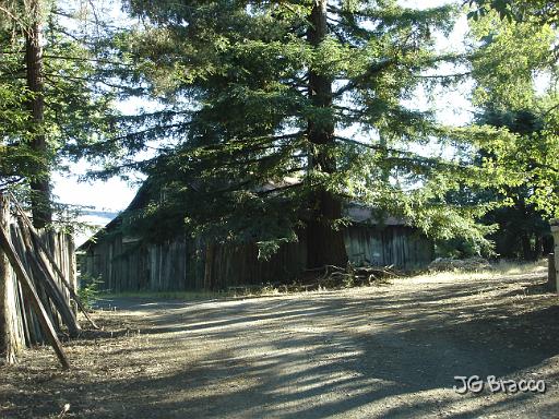 DSC03341.JPG - West Sonoma County