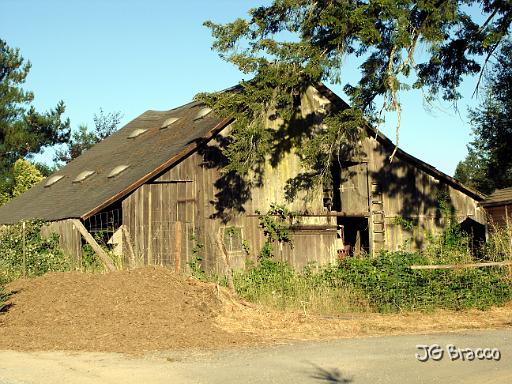 DSC03353.JPG - Sebastobol