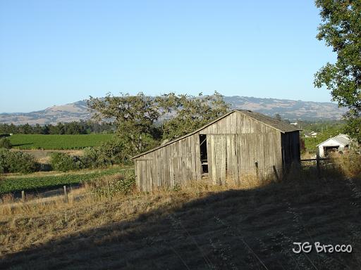 DSC03374.JPG - Near Cotati