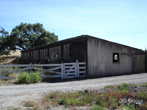 DSC03382.JPG - Chicken Barn, Petaluma