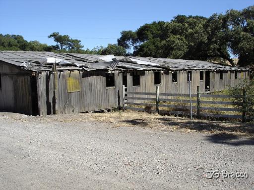 DSC03383.JPG - Chicken Barn, Petaluma