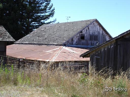 DSC03477.JPG - West Sonoma County